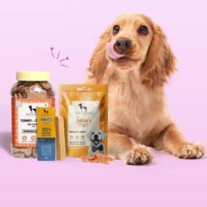 Treats_837010f1-8daa-4fdb-b74a-896ff90da910